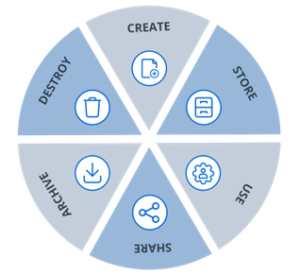 What Is Data Lifecycle Management DLM