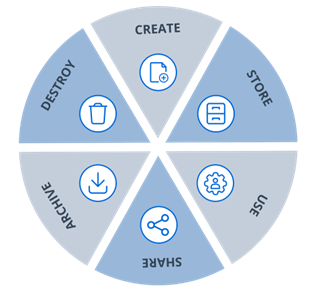 What Is Data Lifecycle Management Dlm